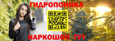 каннабис Новодвинск