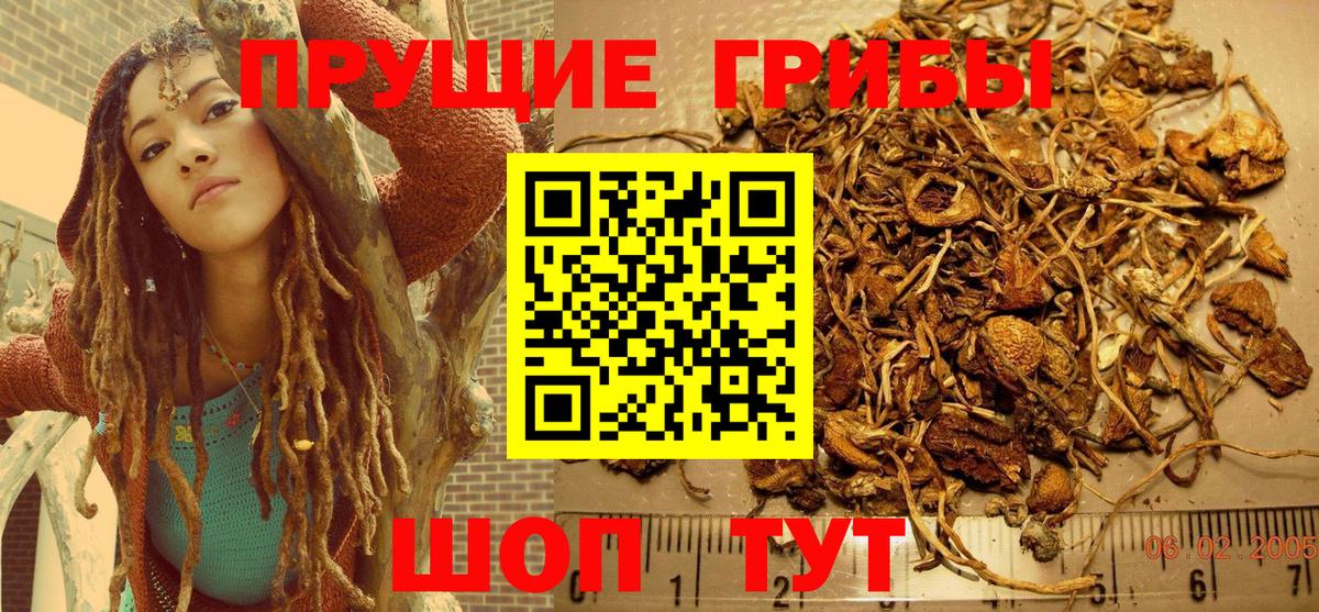 Псилоцибиновые грибы MAGIC MUSHROOMS Алушта